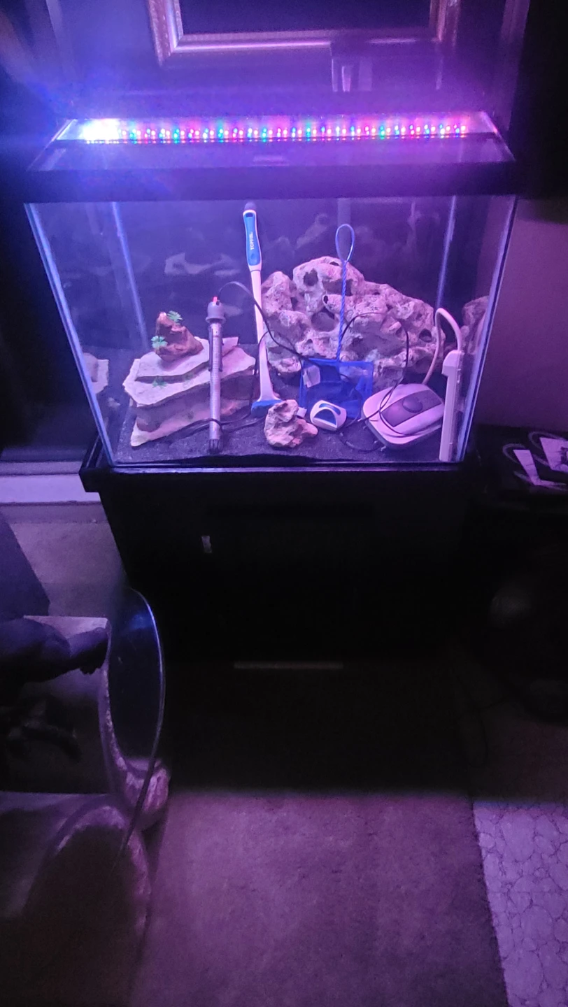 Aquarium with Stand and Accessories - photo 3