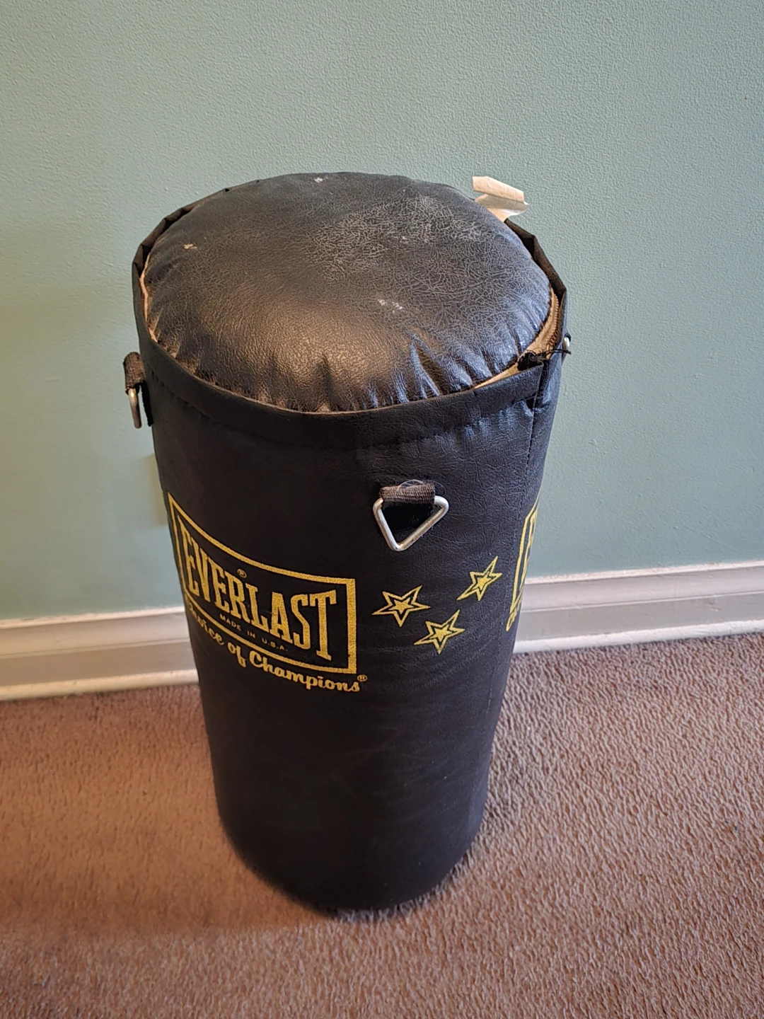 Everlast Punching Bag