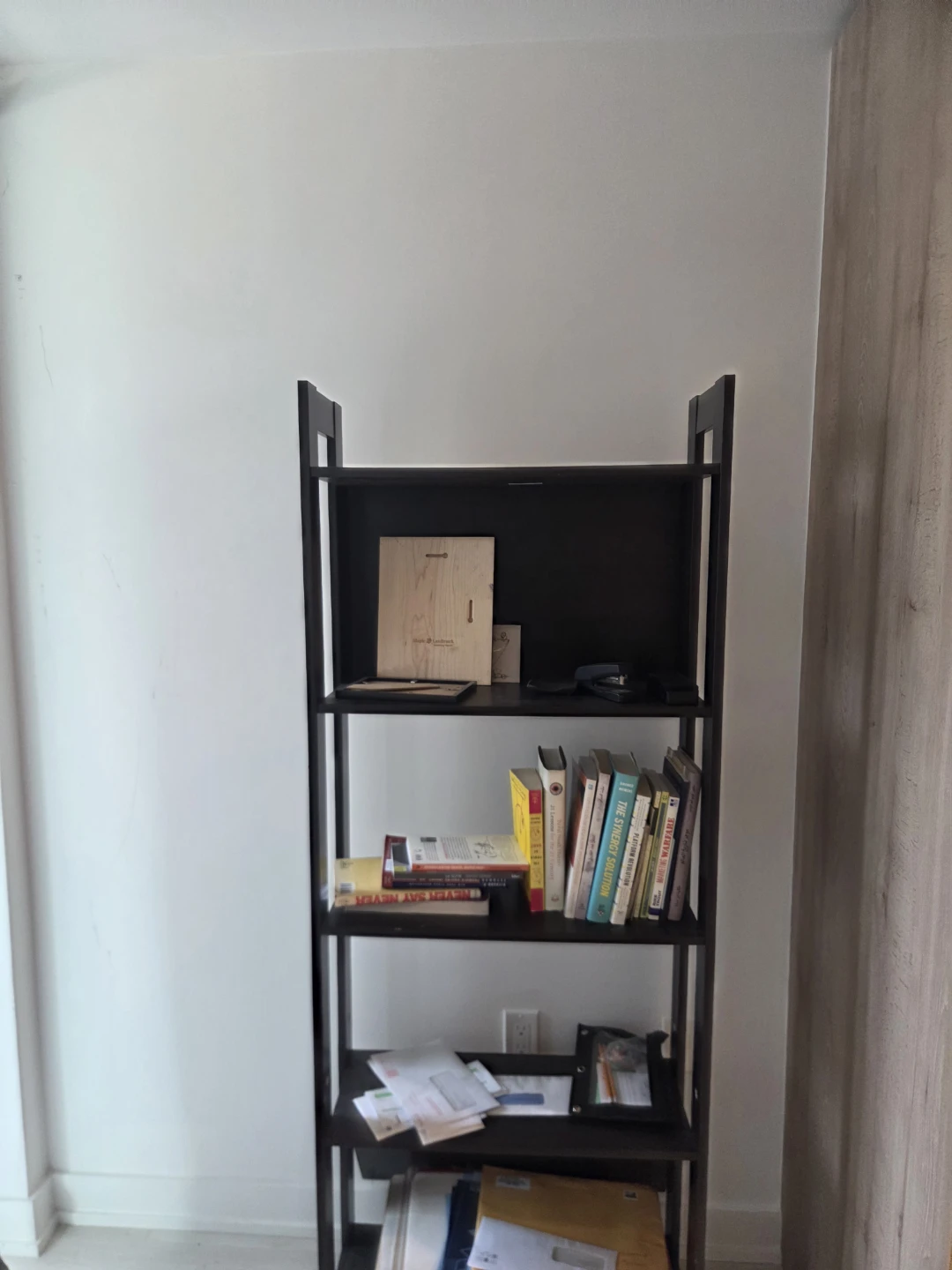 Black Ladder Bookshelf