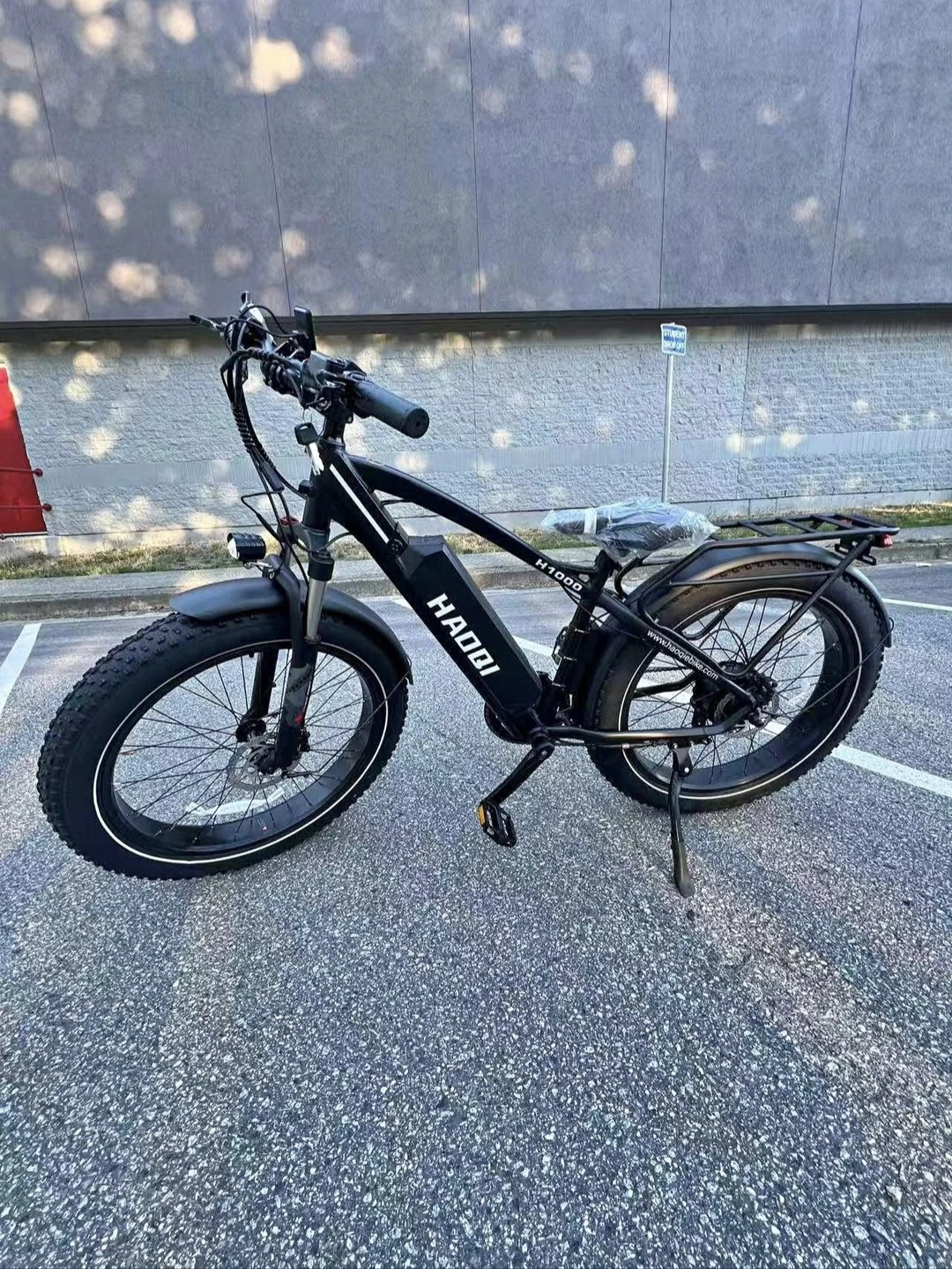 Haoqi H1000 Electric Fat Tire Bike