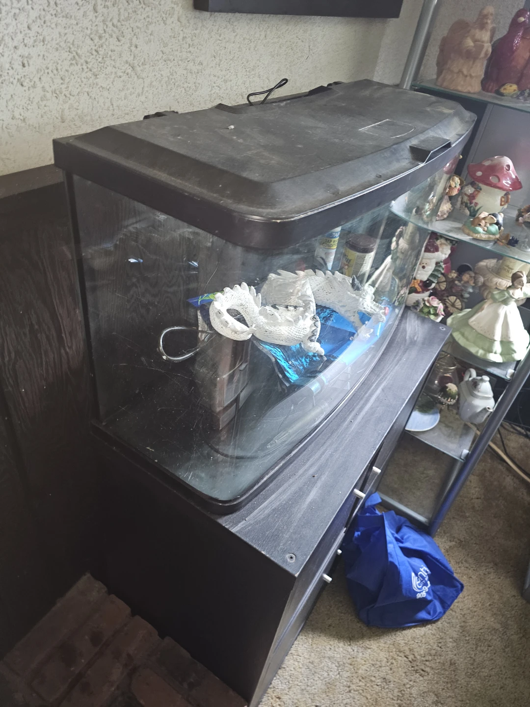 23 gallon fluval bowfront fish tank - photo 2