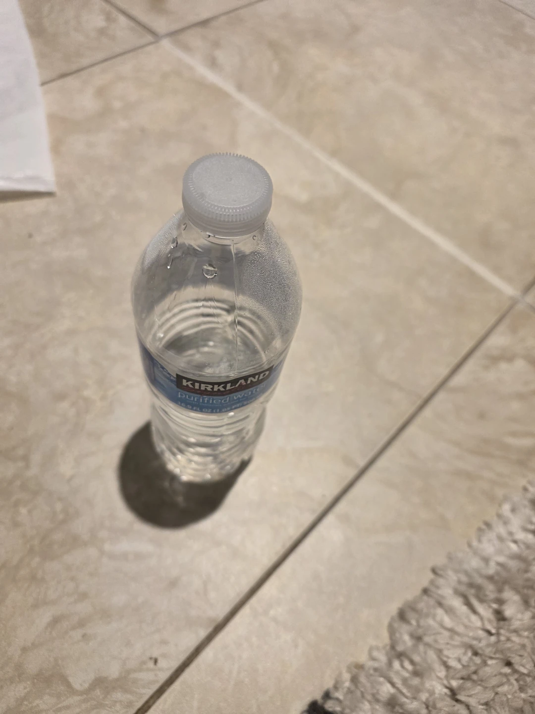 Kirkland Purified Water Bottle