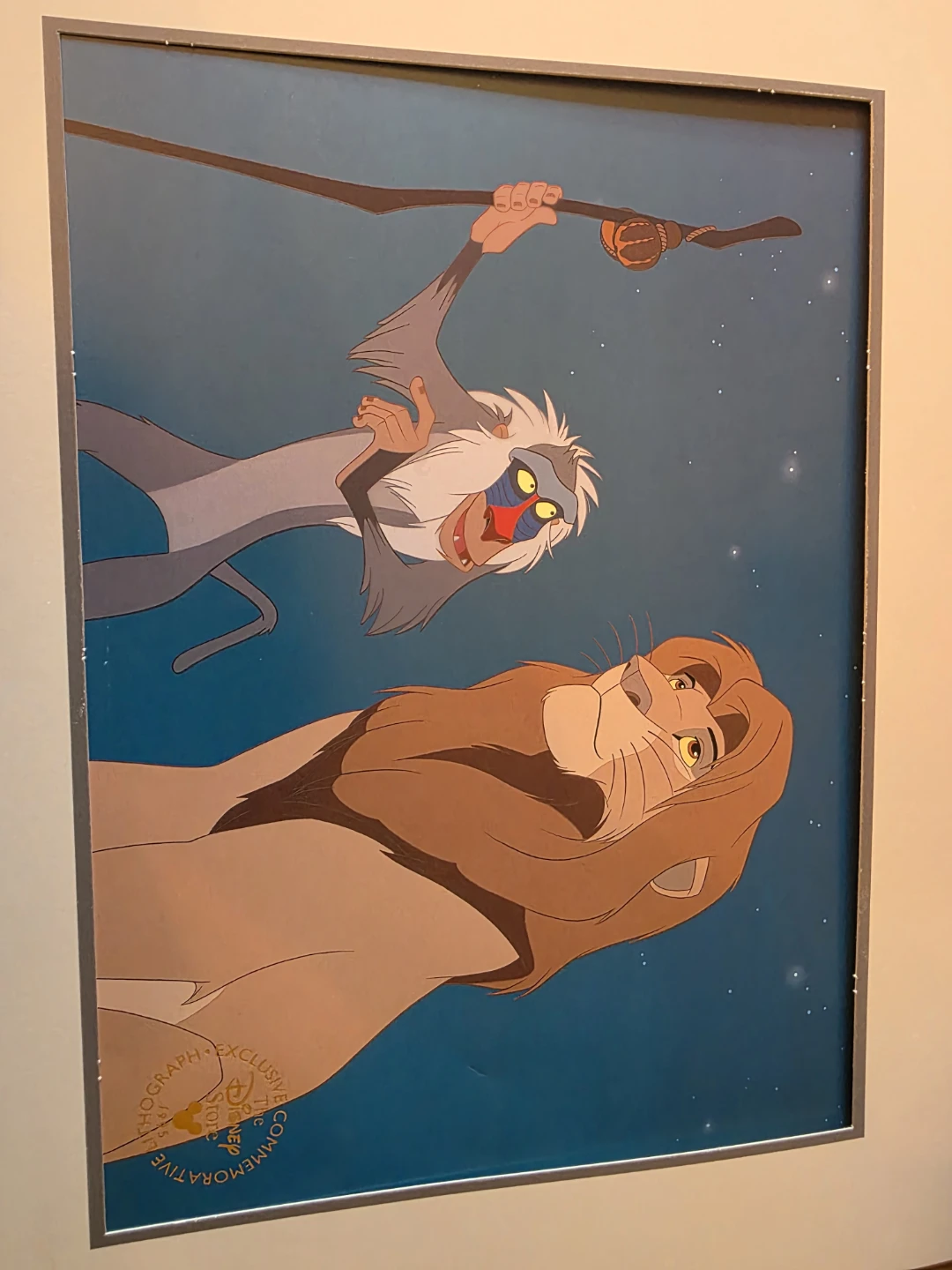 Disney stills, book and pictures - photo 3