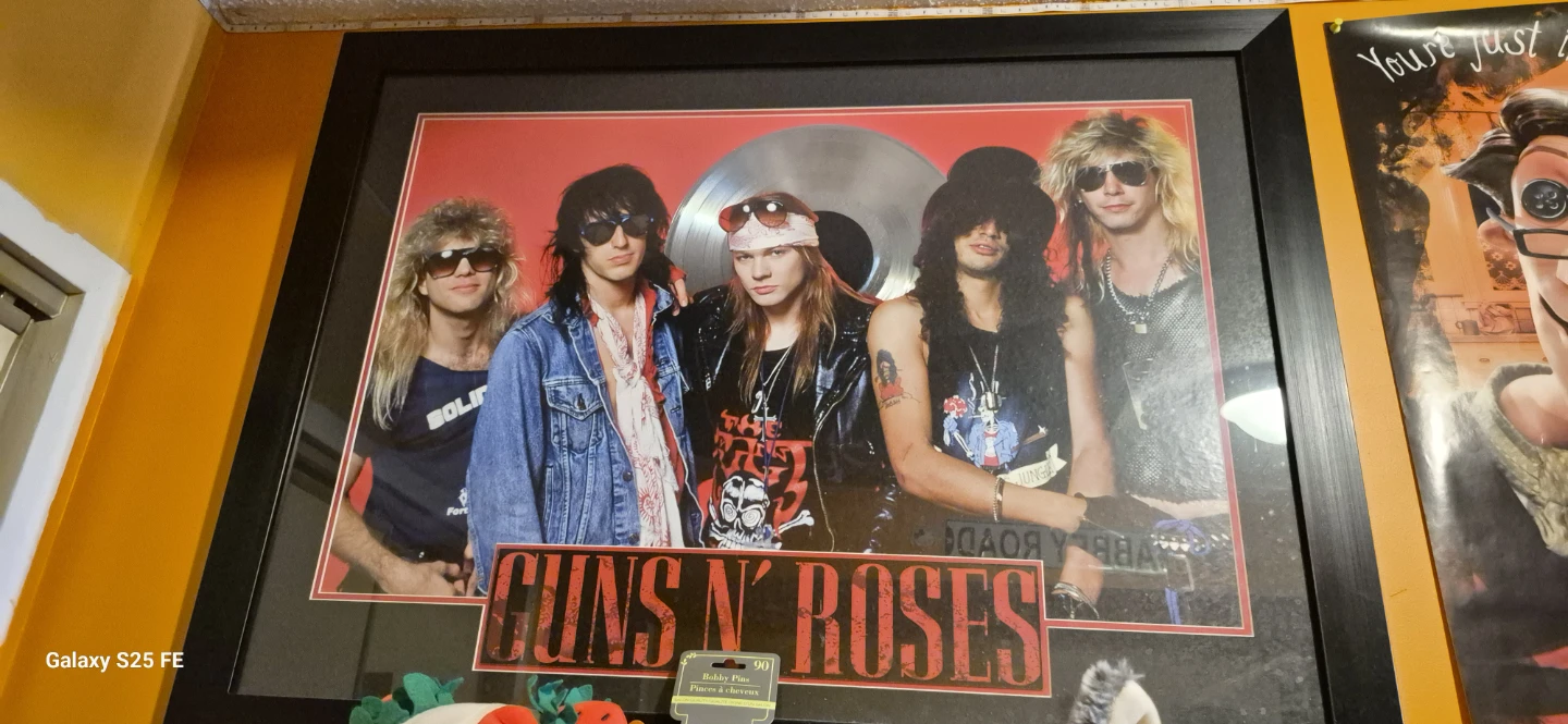 Guns N' Roses Framed Band Photo with Silver Record
