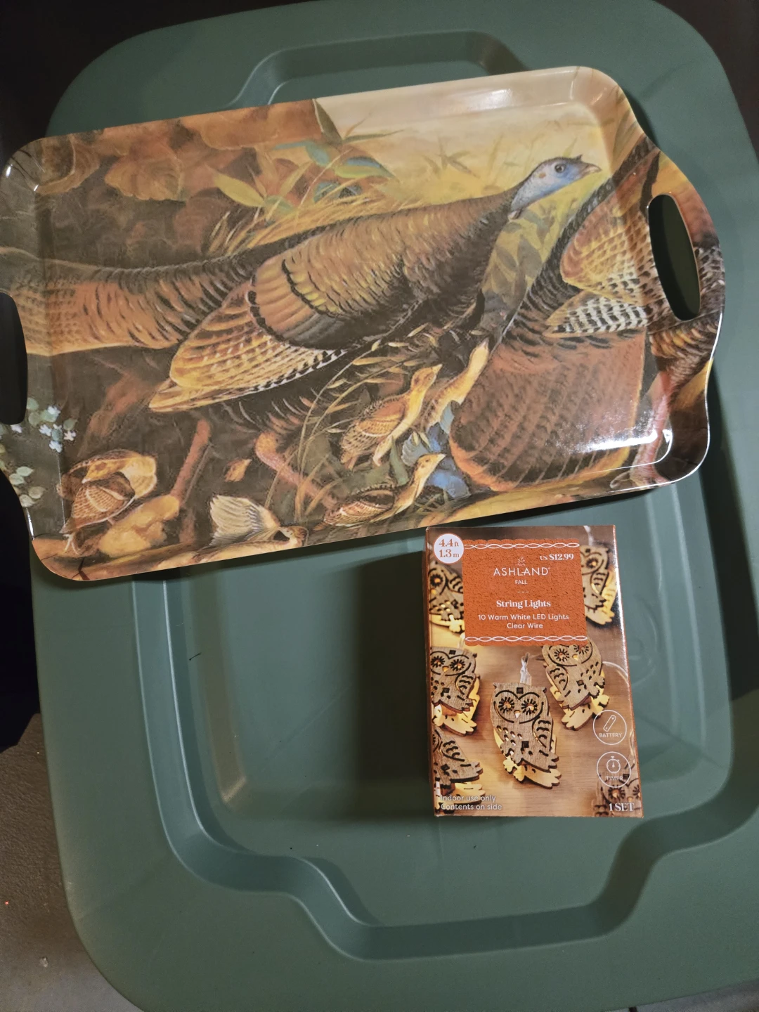 Ashland Melamine Tray/String light Owls - photo 3