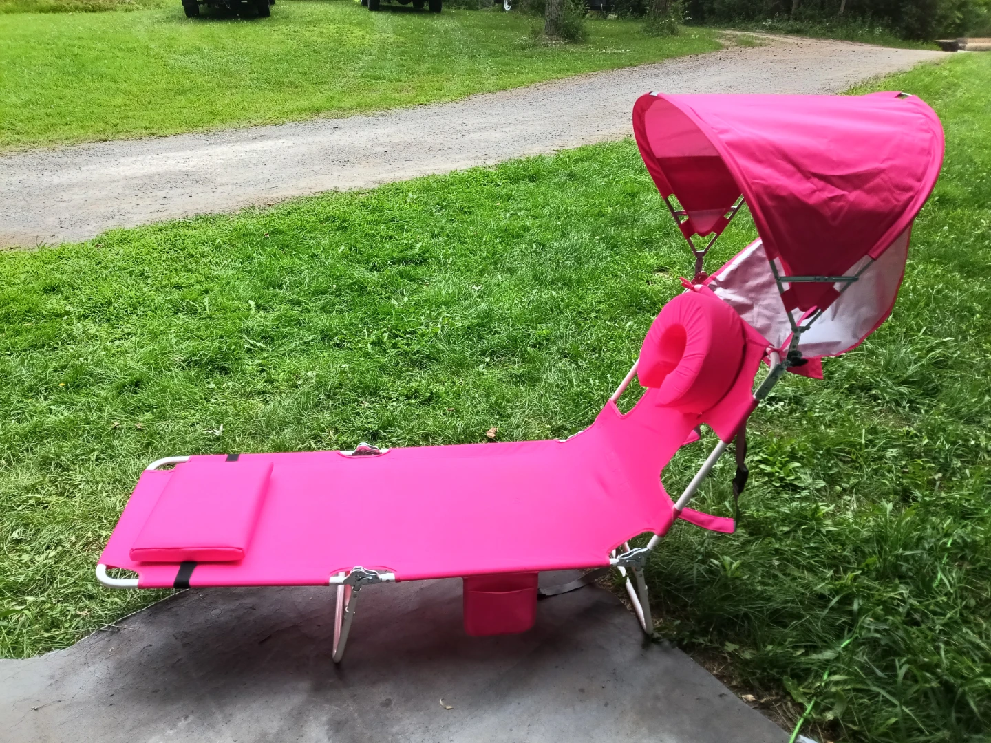 Pink Beach Lounge Chair with Canopy - photo 3
