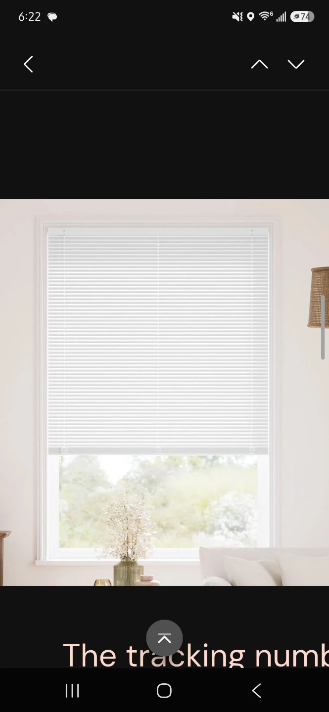 1 inch lifestyle mini blinds