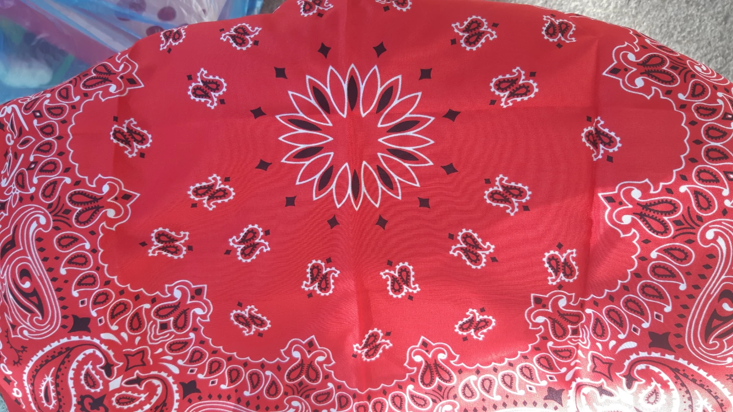 Red Paisley Bandana - photo 4