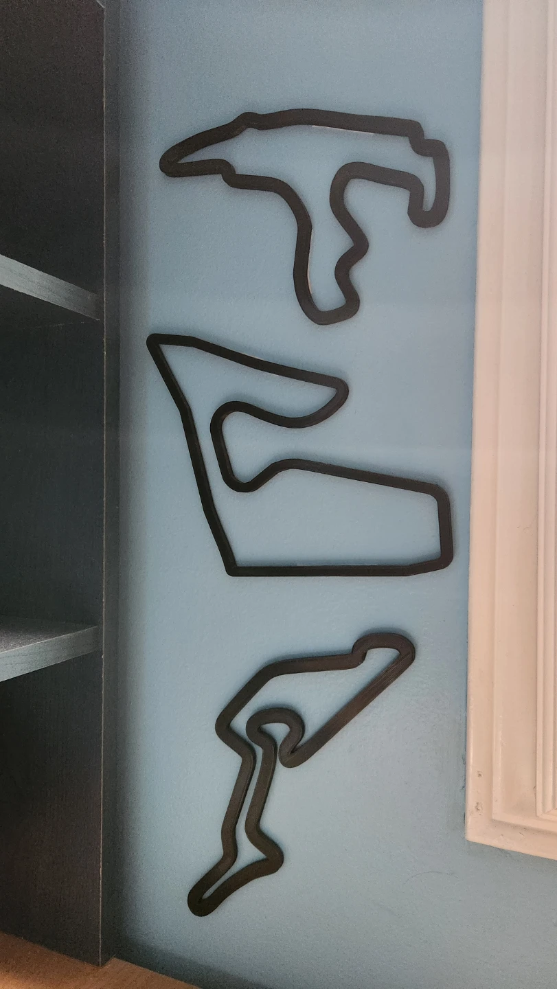 3D Printed Racetracks