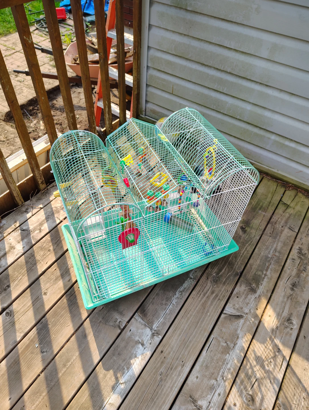 Bird Cage free