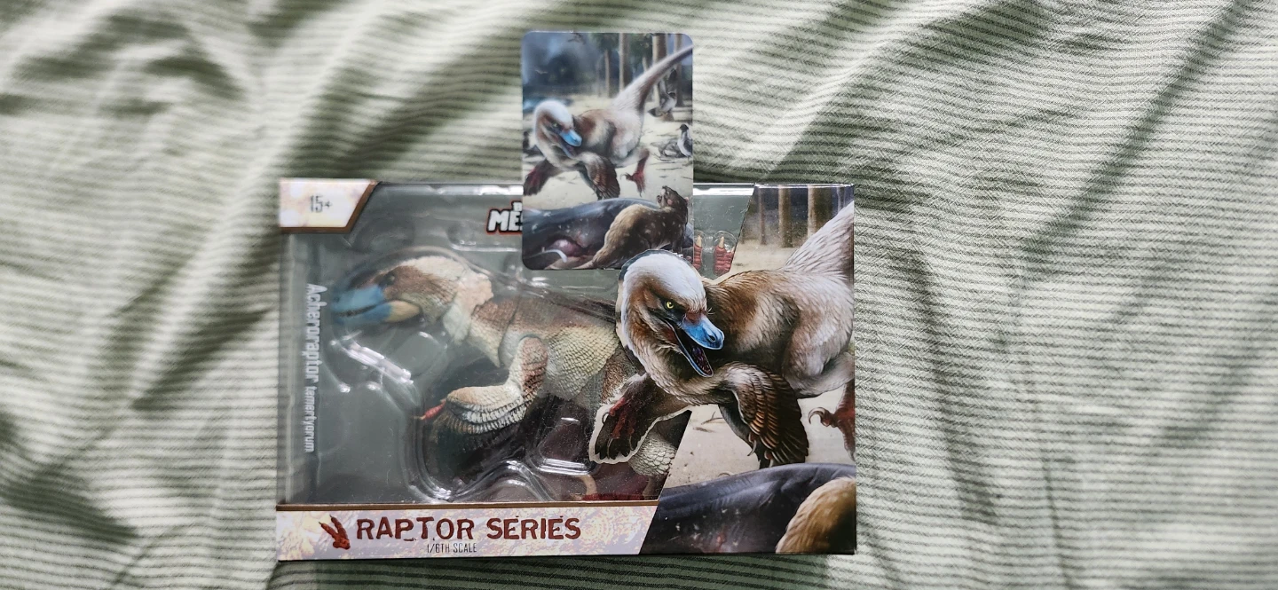 Beasts of the Mesozoic Acheroraptor