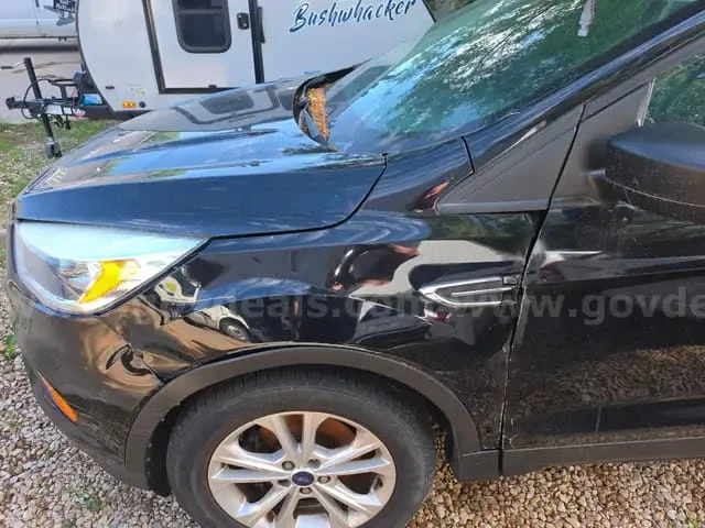 Black Ford Escape SUV - photo 4