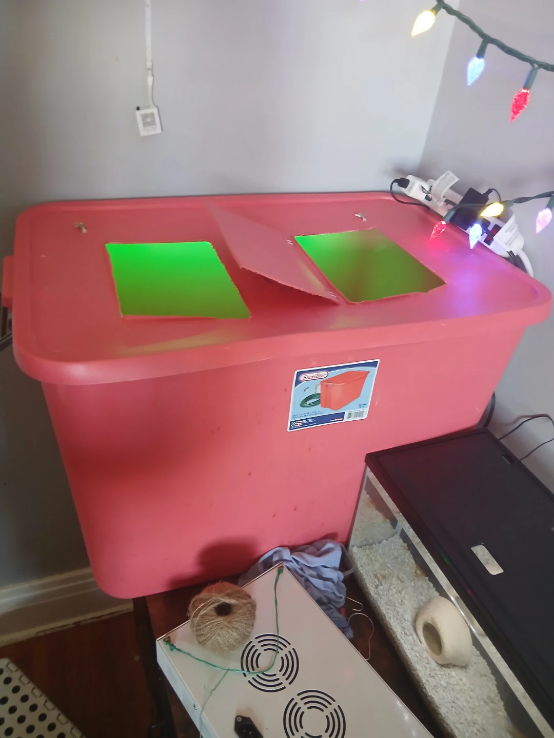 Looking for a fish tank and supplies - photo 2