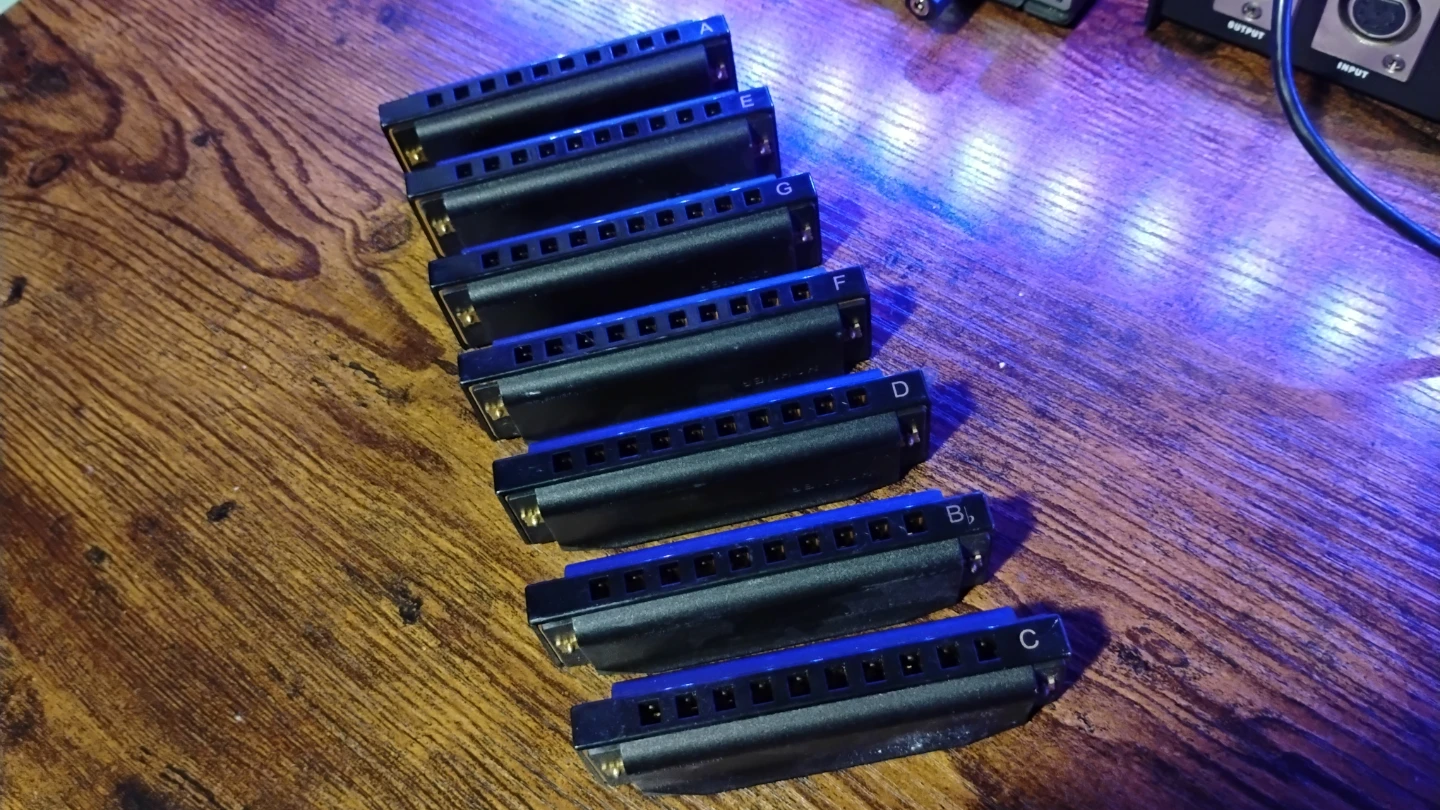 Piedmont Blues Harmonica Set - photo 3