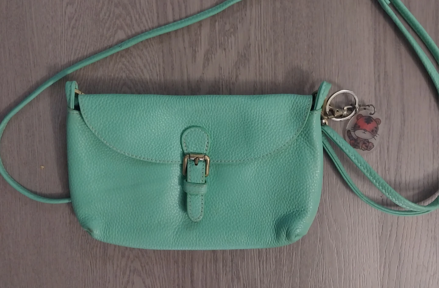 Mint Green Leather Crossbody Bag