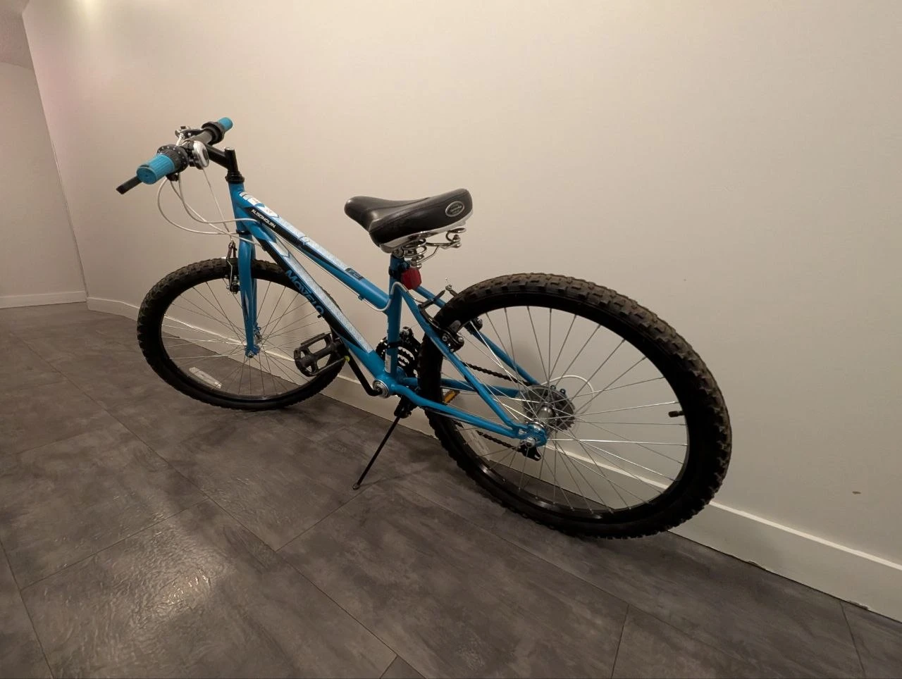 Movelo Algonquin Mountain Bike