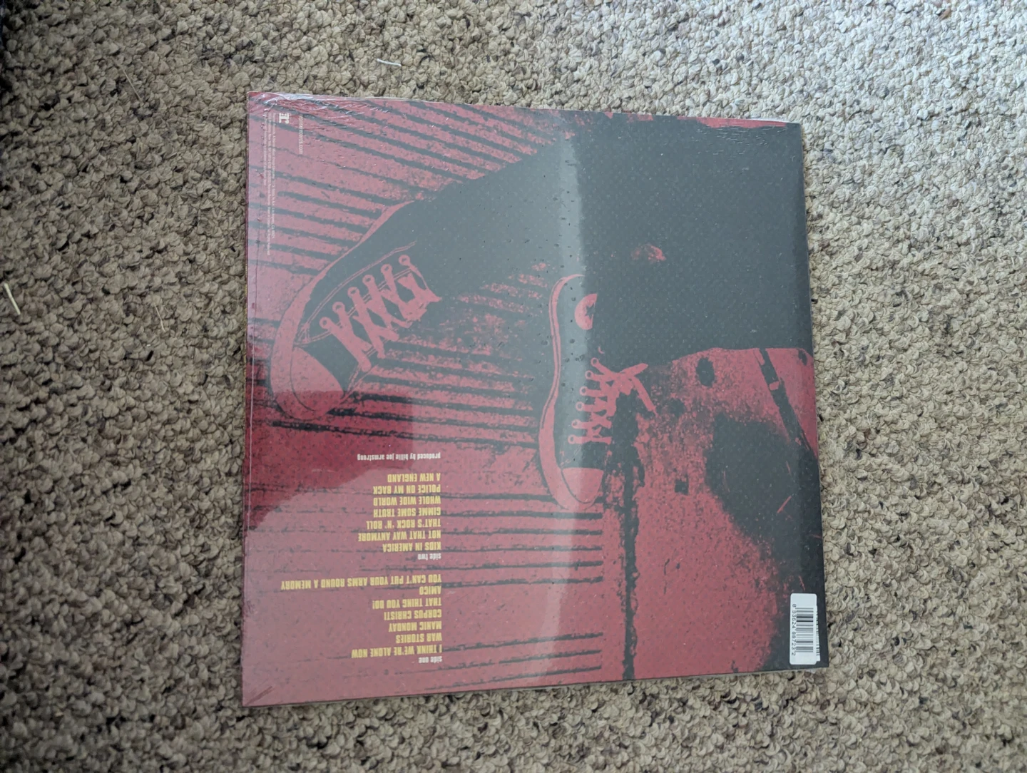 Billie Joe Armstrong vinyl - photo 2