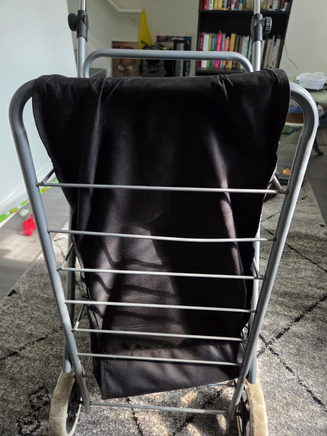 Shopping Cart with Lid