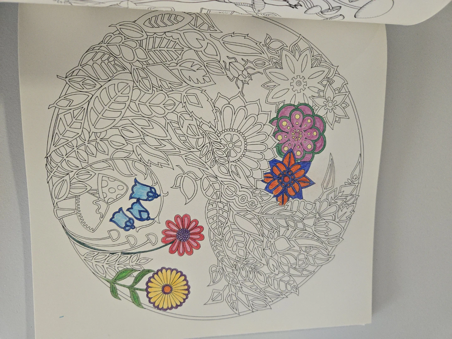 Johanna Basford Enchanted Forest: An Inky Quest & Coloring Book - photo 2