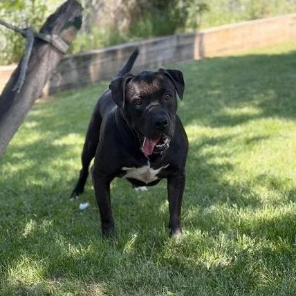 Adoption event! And some Important tips - photo 2