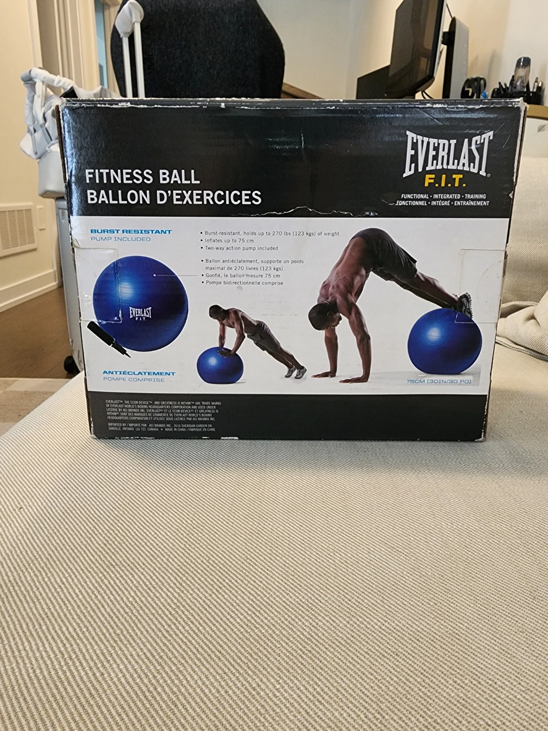 Everlast Fitness Ball - photo 2