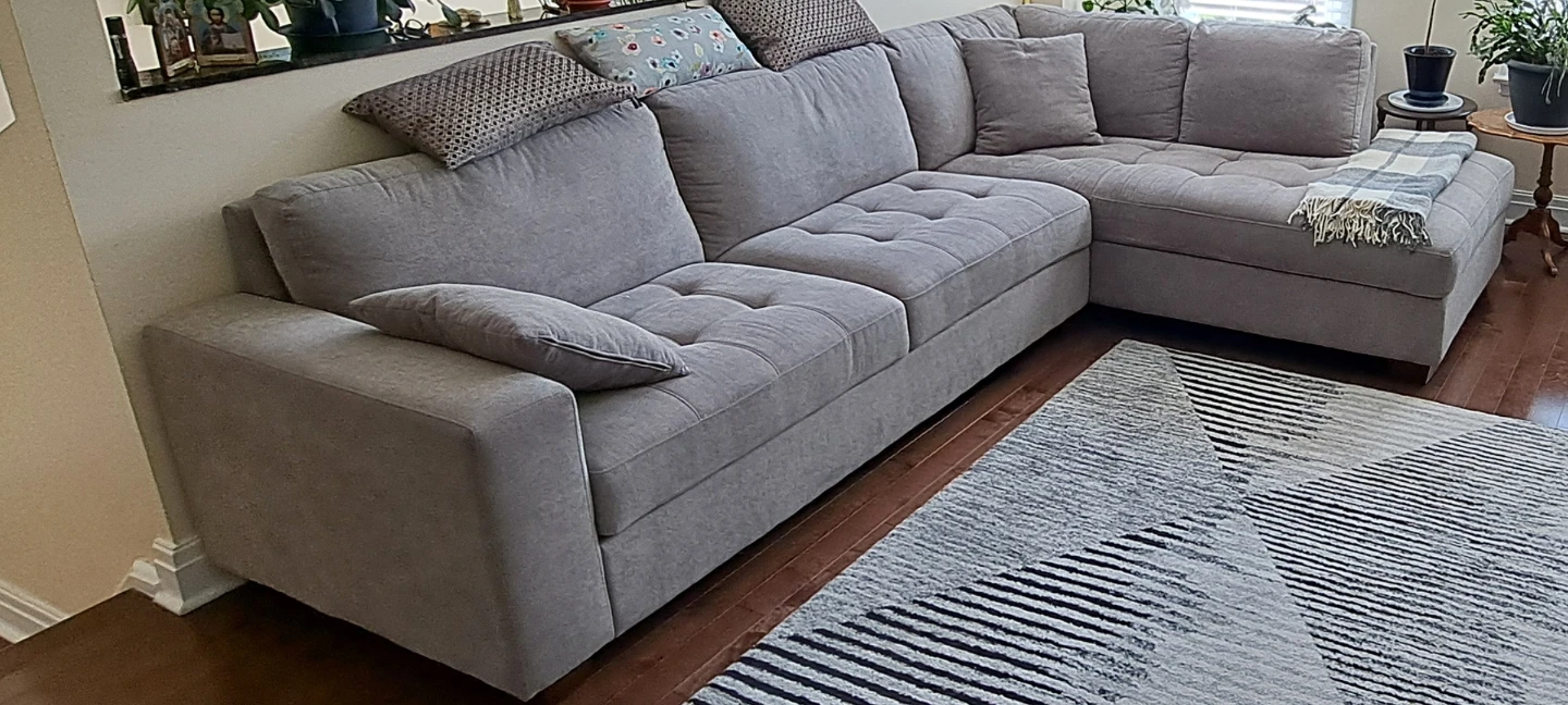Moving sale - sectional