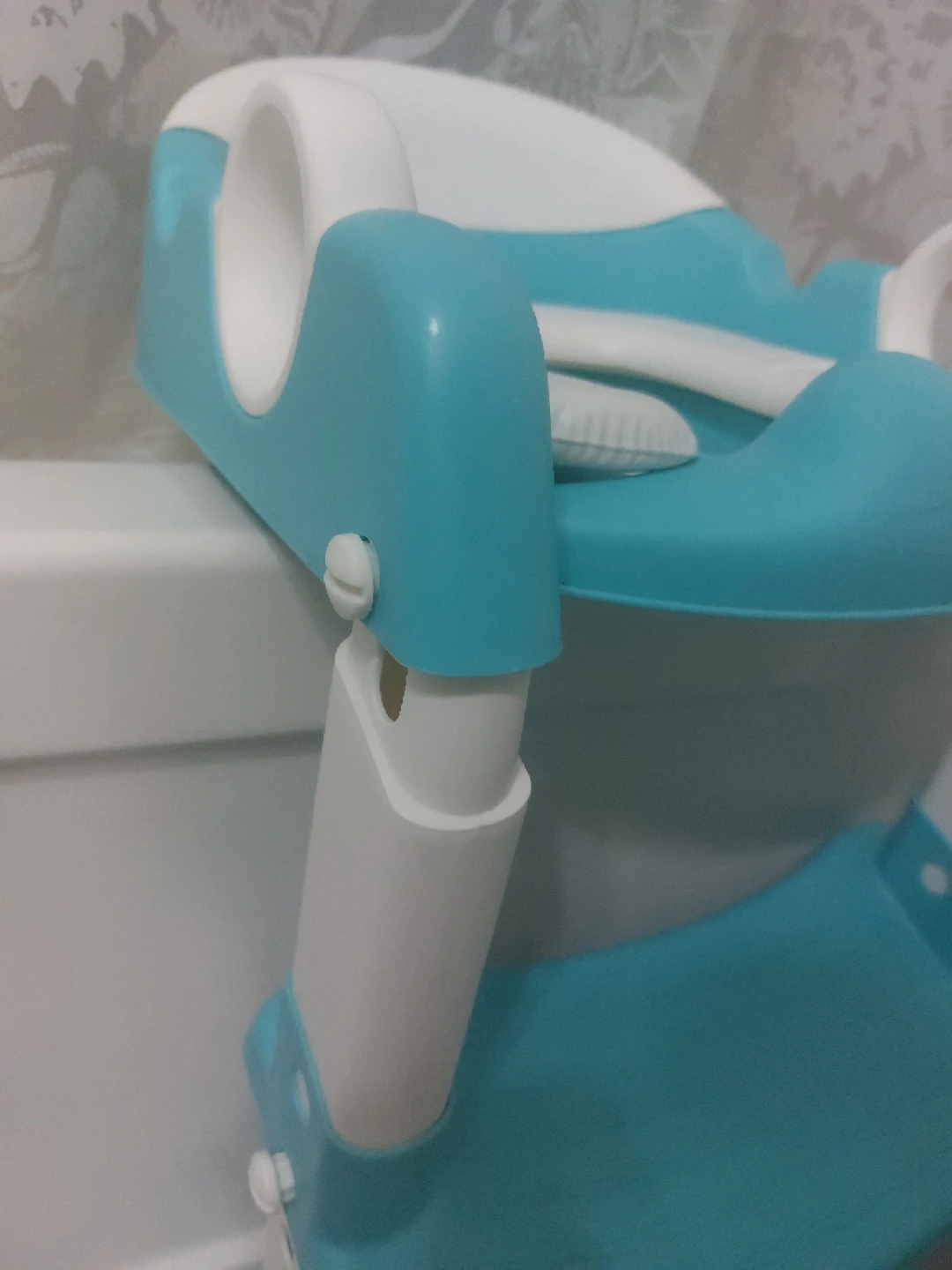 Potty Training Seat With Ladders - photo 4