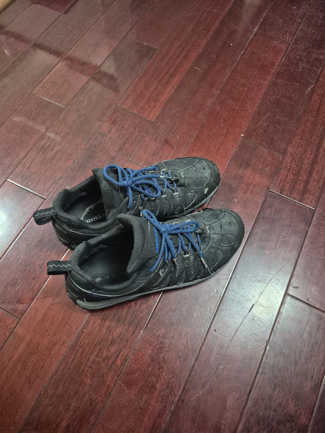 Black Trail Shoes