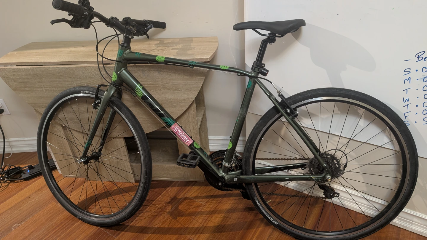 Giant Escape 2 City Bike - Size L