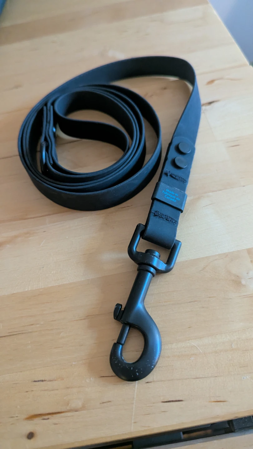 RC Pets Black Waterproof Dog Leash