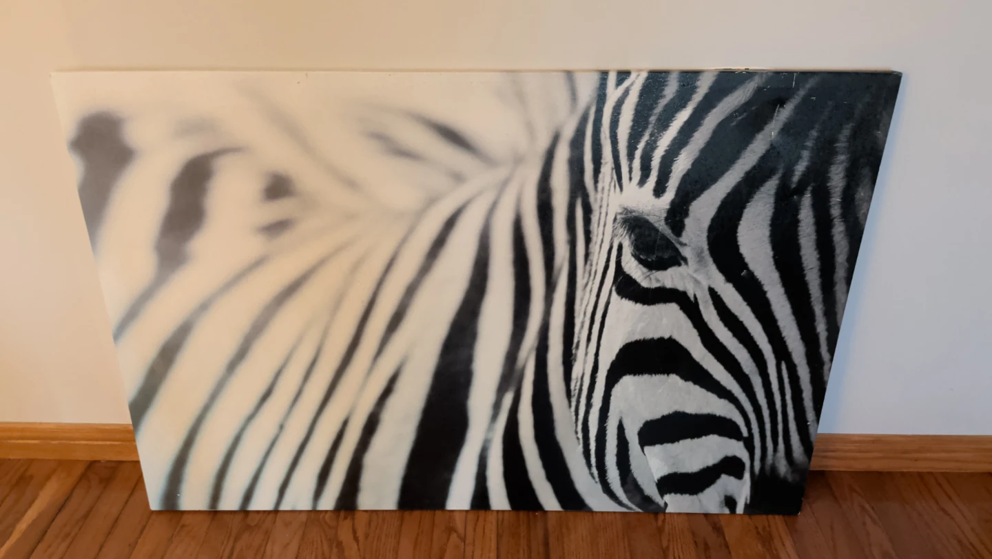 Zebra Canvas Wall Art