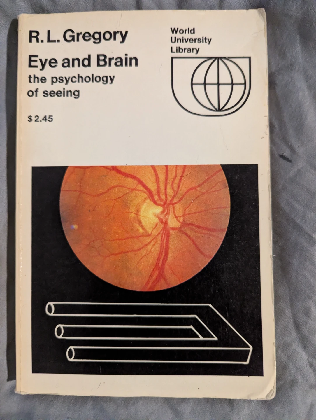 Vintage "Eye And Brain: The Psychology Of Seeing" Book! 📖