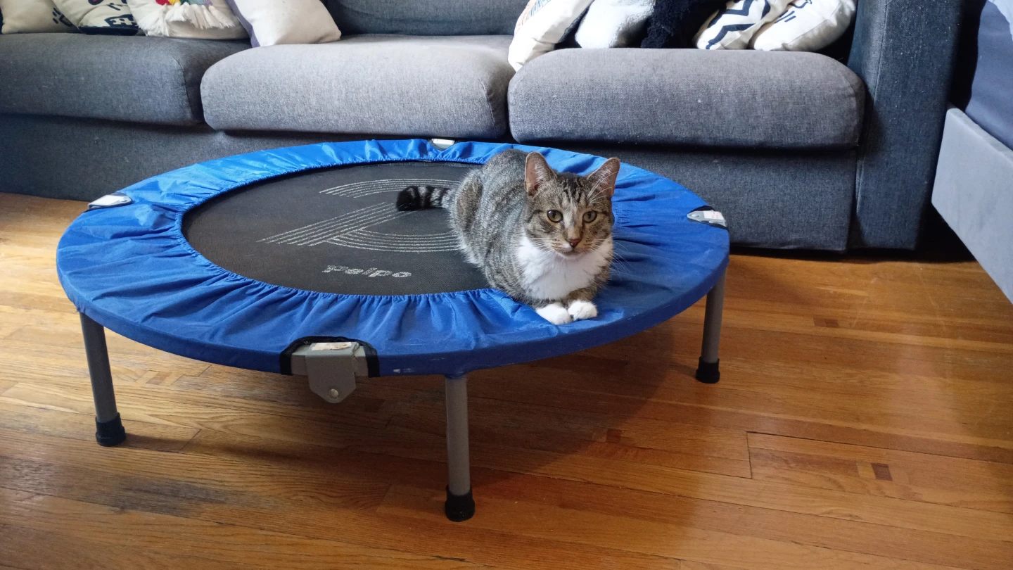 Pelpo Mini Trampoline - photo 2