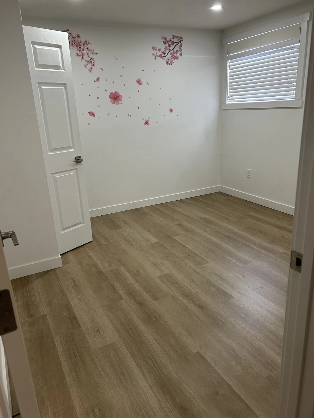Basement rent - photo 4