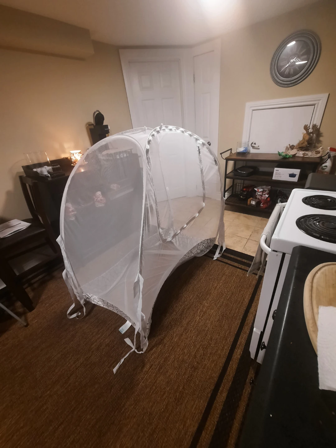 Pro Baby Safety Canopy Cover - photo 2