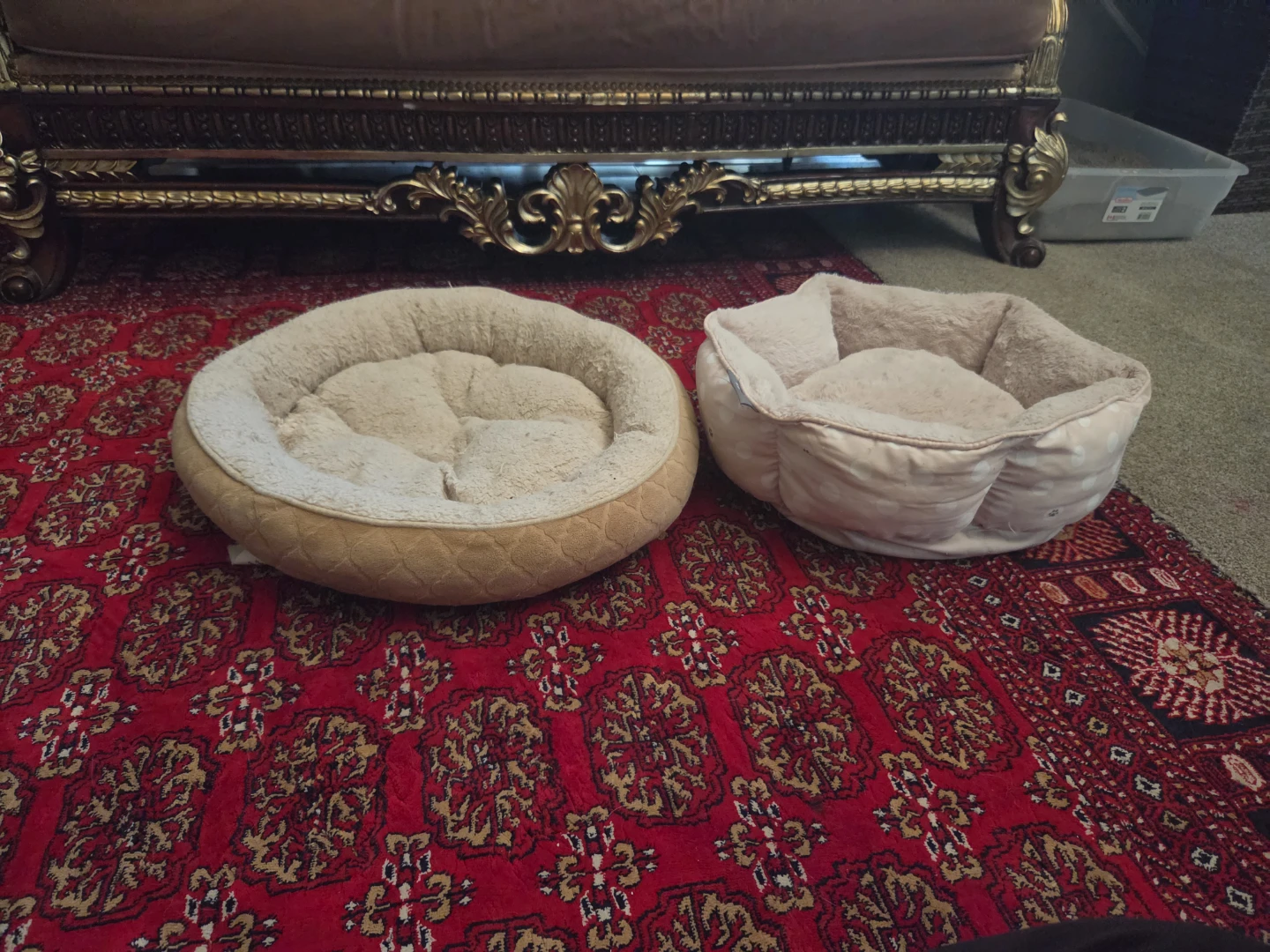 Two Cat Beds - photo 2