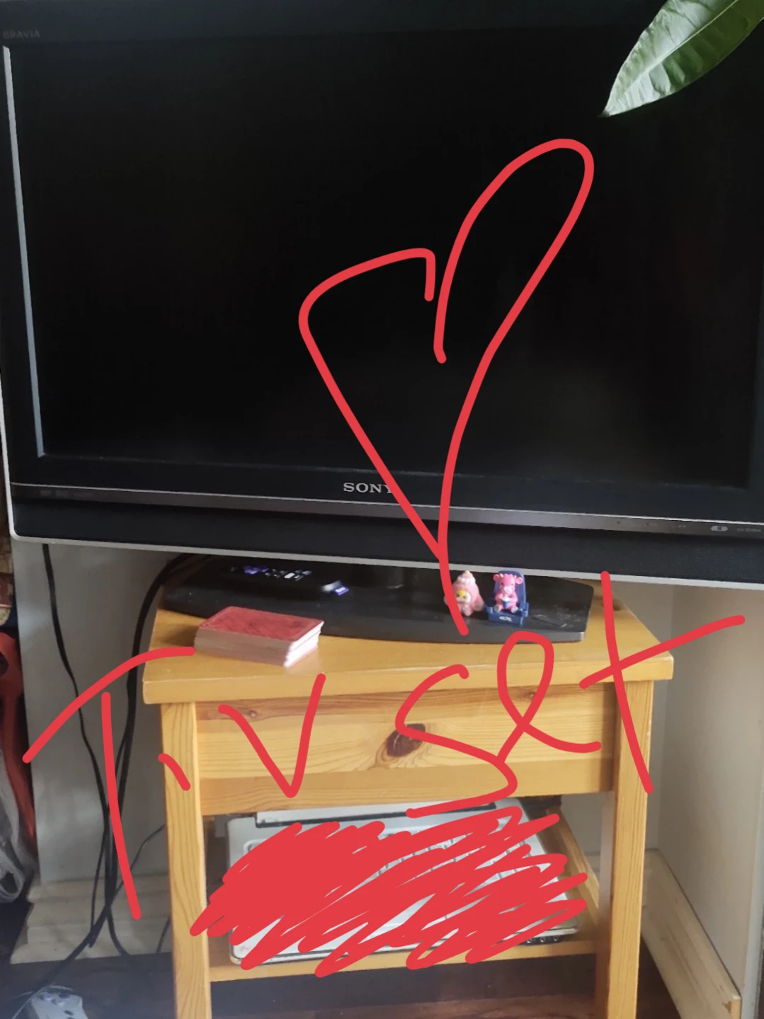 Sony Bravia TV with stand