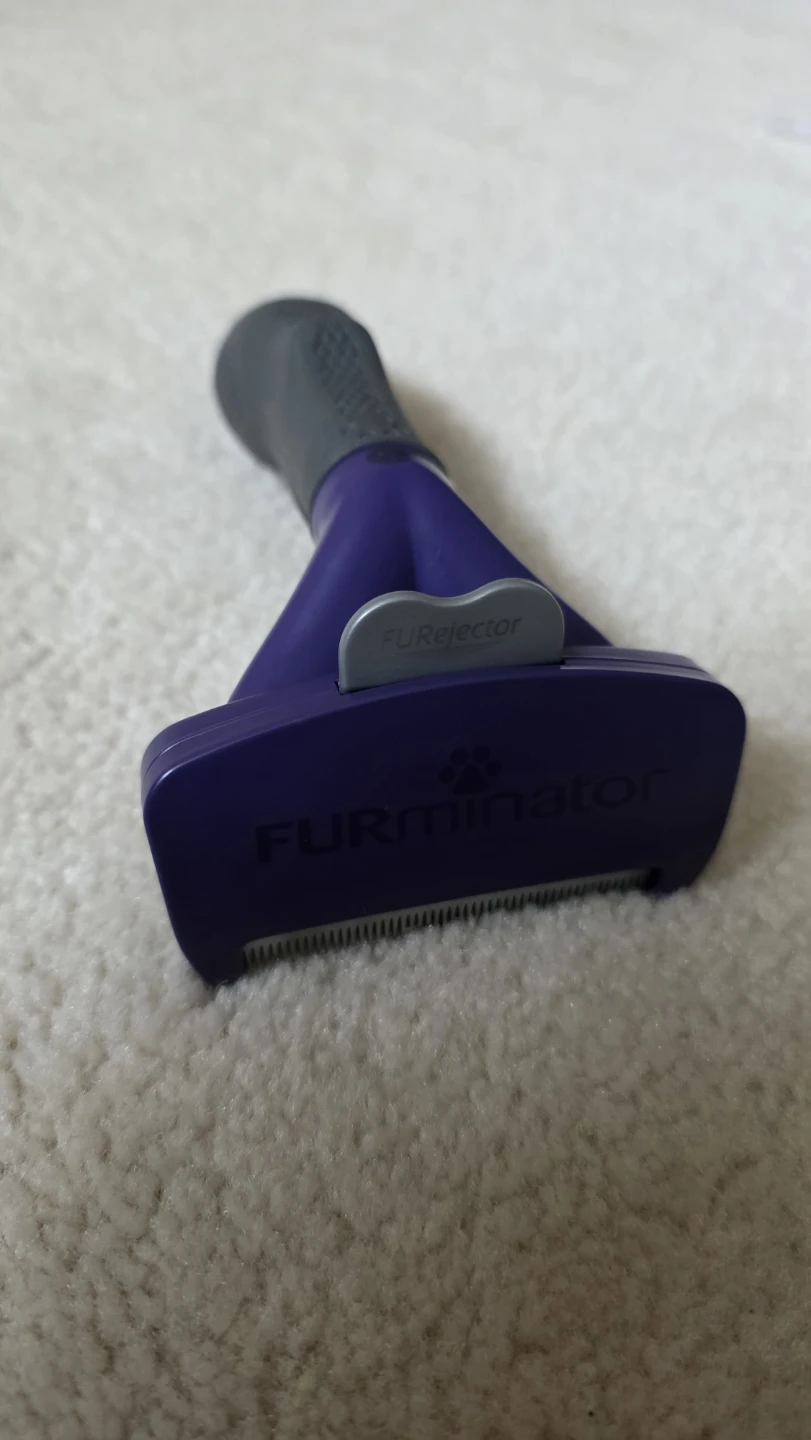 Pet Grooming Tools: Glove, Comb, Clippers & Deshedder - photo 3