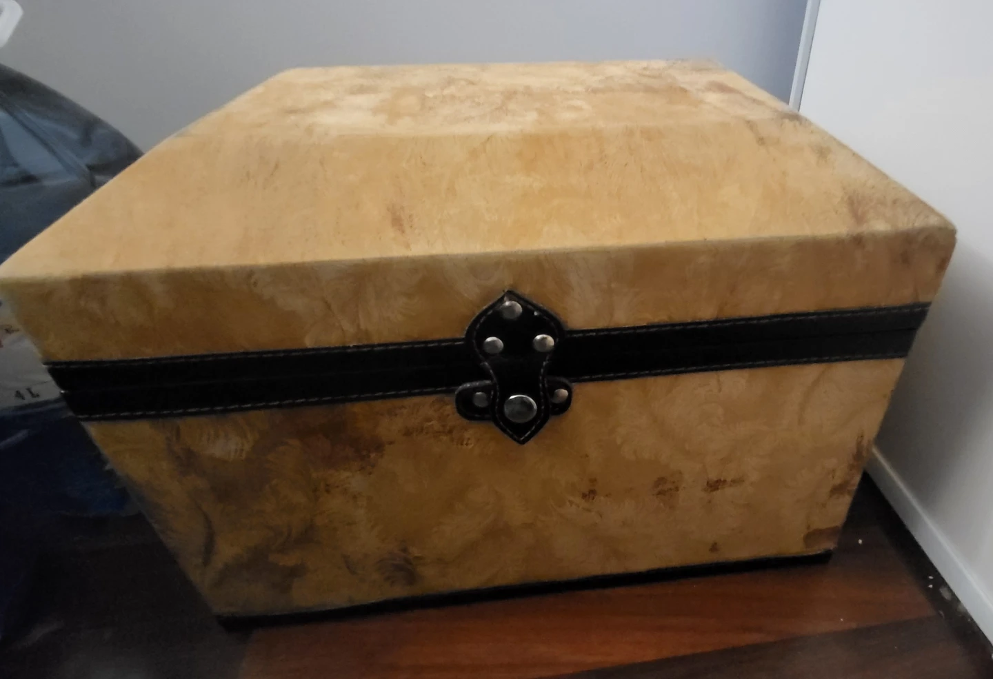 Vintage Style Velvet Feather Pattern Storage Trunk