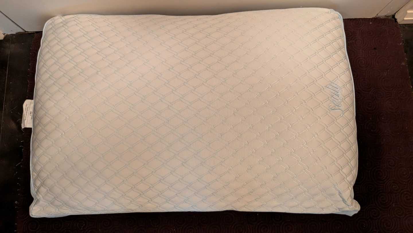 Sealy Pillow with sham