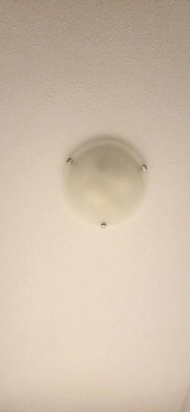 Set of 5 Flush Mount Ceiling Lights with LED Bulbs - photo 3