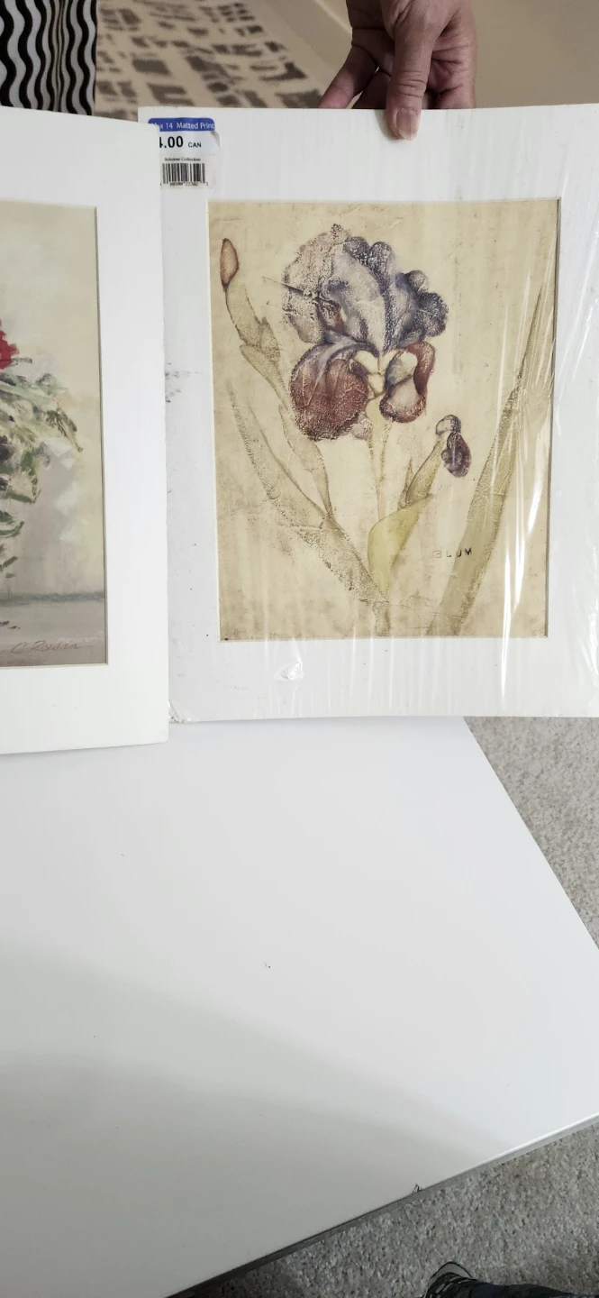 Framed Landscape Art Frame with free print - photo 3