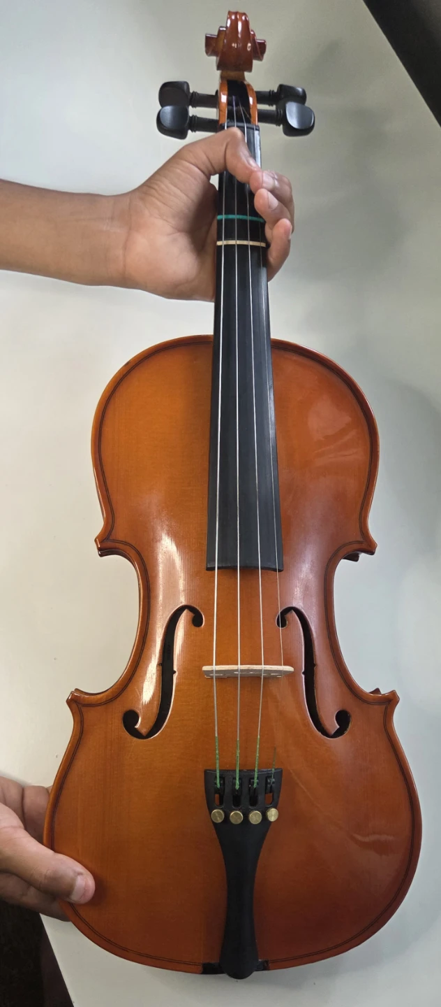 Stentor Student Standard Violin with Case and Accessories