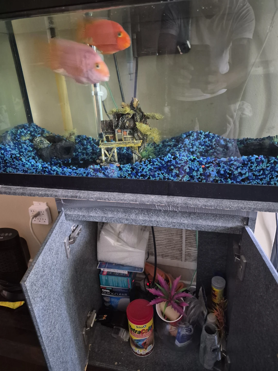 Aquarium 50 Gallon with Fish and Accessories - photo 2