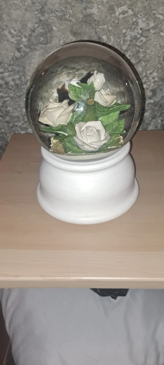 Water Globe