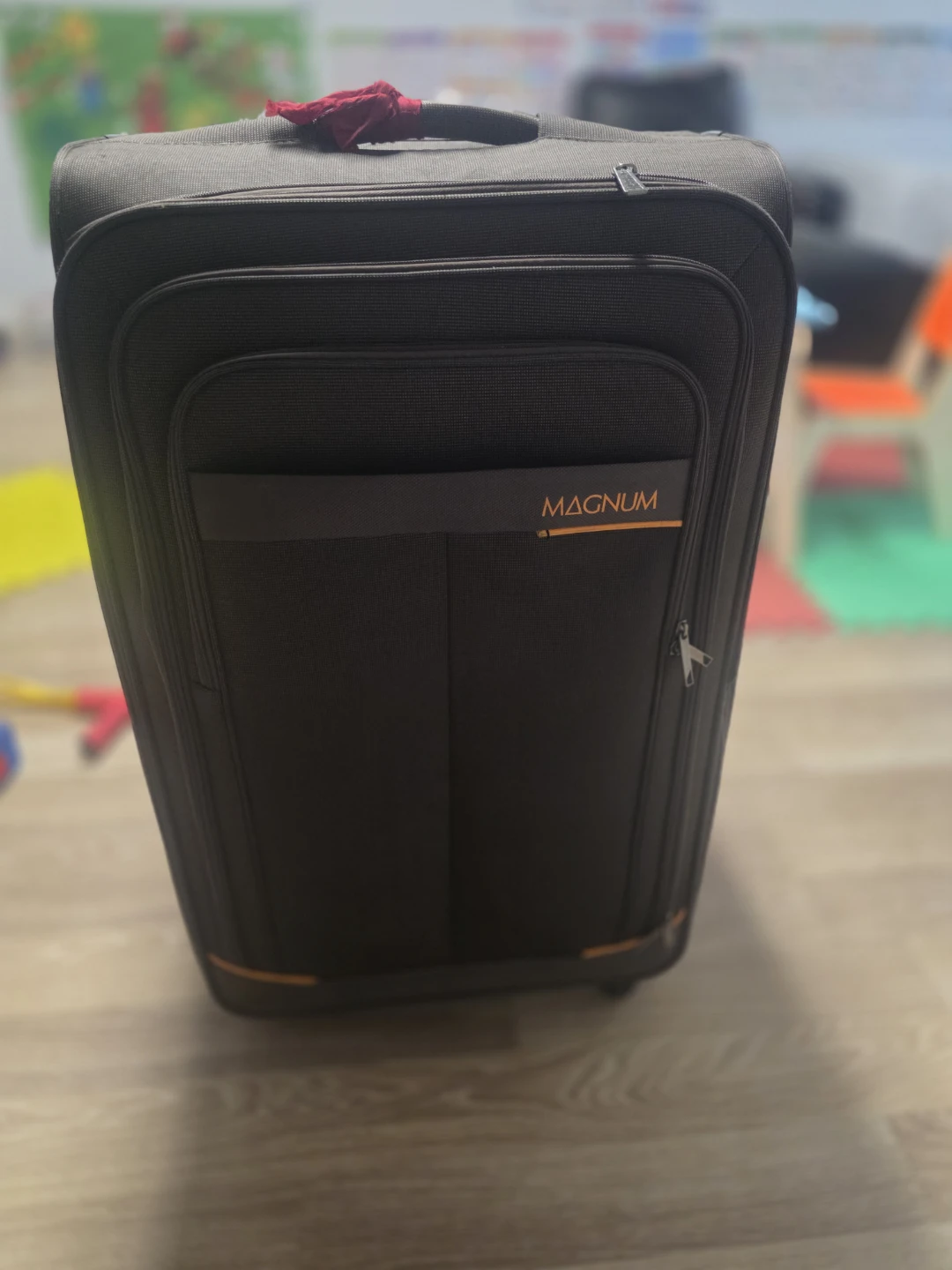 Luggage for checkin - photo 5