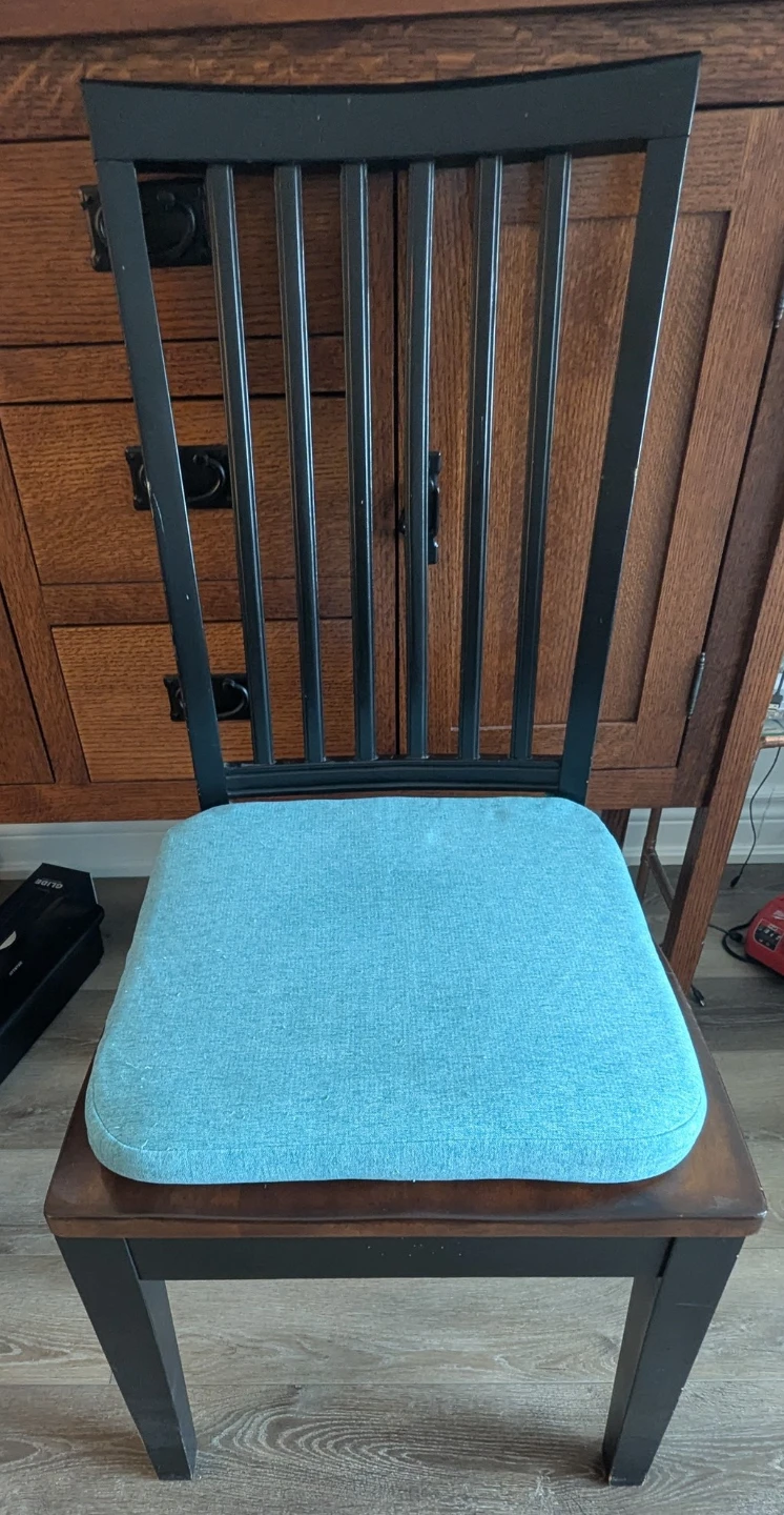 Set of 4 Blue Chair Cushions