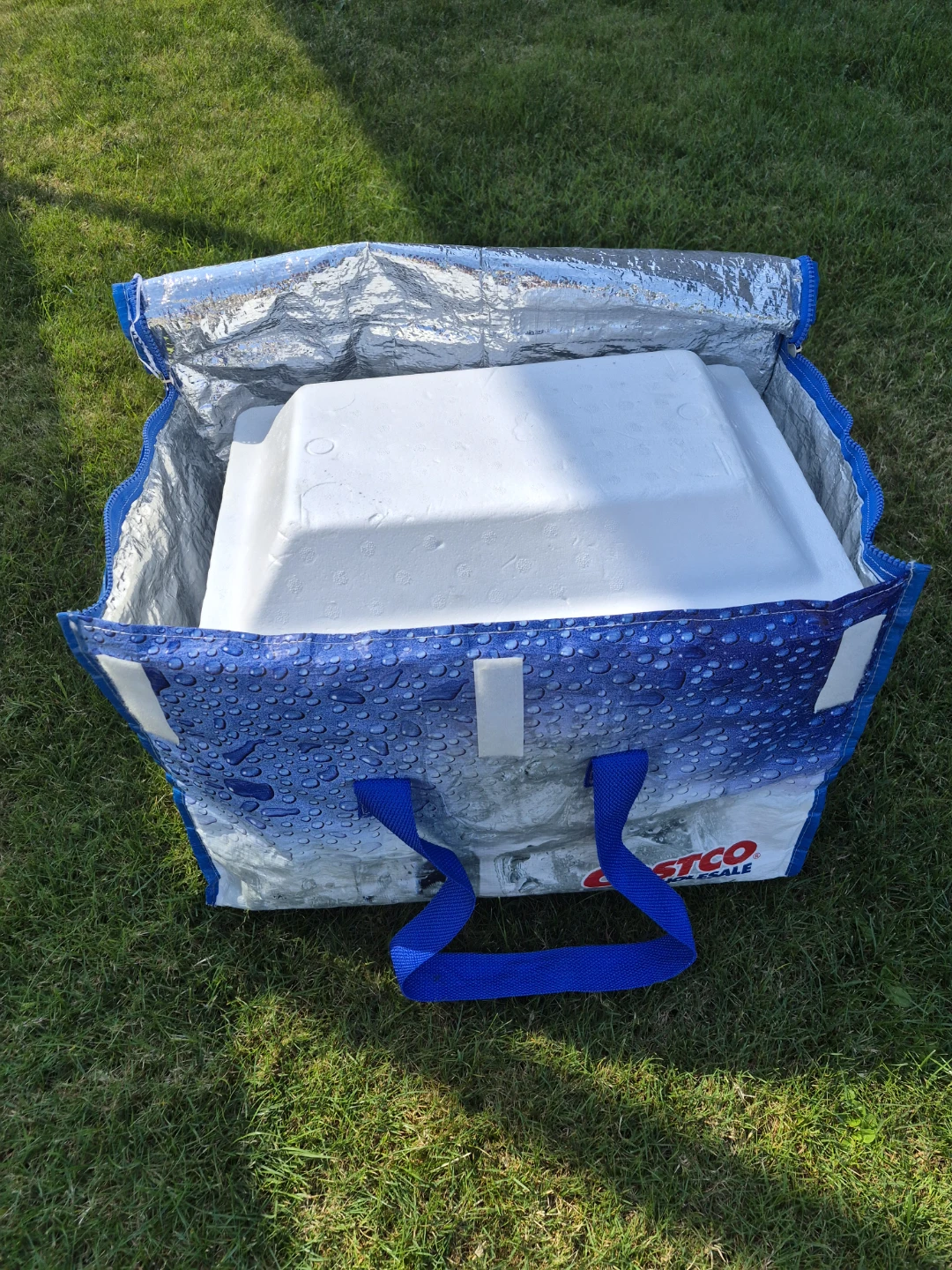 Costco Insulated Cooler Bag with Styrofoam Insert