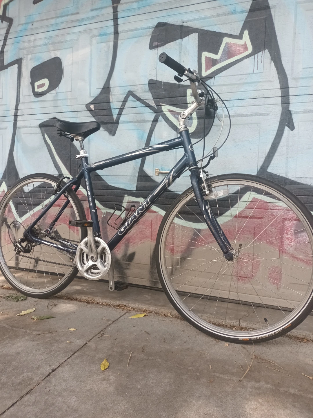 Giant Cypress Bike - photo 2