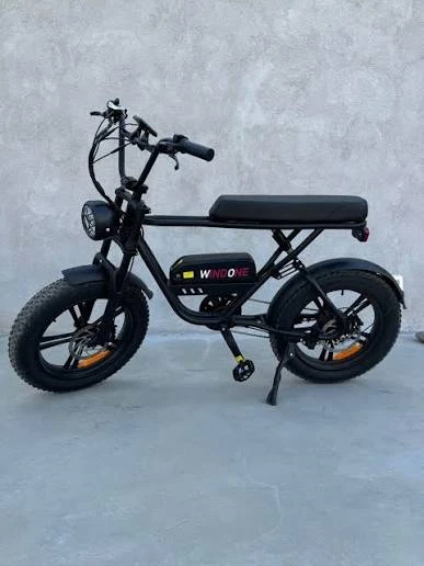 Windone Electric Bike - photo 2